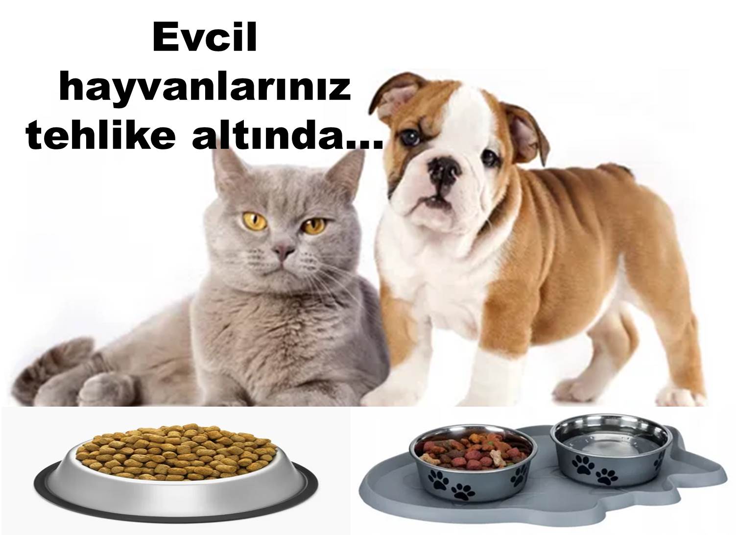 Mama kaplarındaki tehlike…