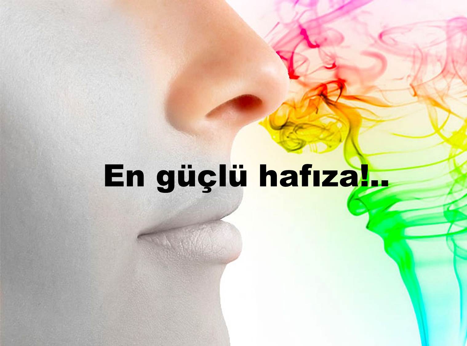 Koku hafızası ve önemi…